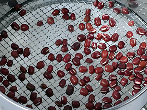 6 mesh stainless steel mesh disc for beans grading sieve