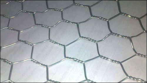 Stainless Steel Hexagonal Chicken Wire